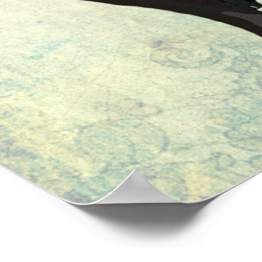 Boston Terrier en Crown Poster (Hoek)