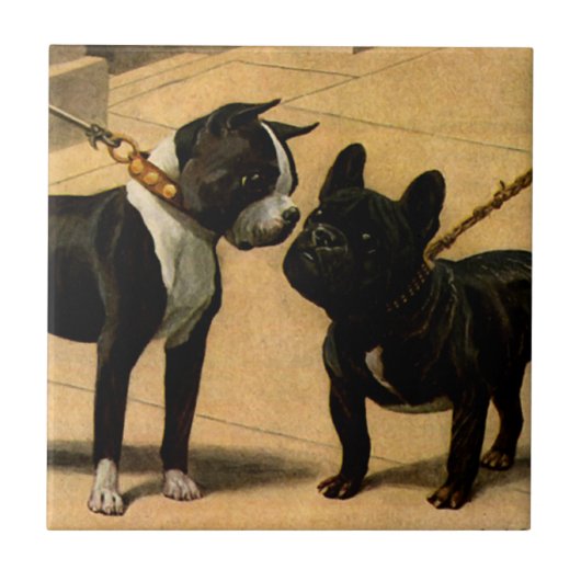 Boston Terrier en French Bulldog Tegeltje (Voorkant)