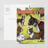 Boston Terrier en Puppies  Illustratie Briefkaart (Voorkant / Achterkant)