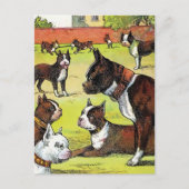 Boston Terrier en Puppies  Illustratie Briefkaart (Voorkant)