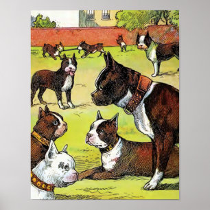 Boston Terrier en Puppies Illustratie Poster