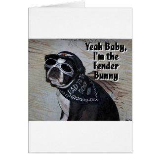 Boston Terrier:  Fender Bunny