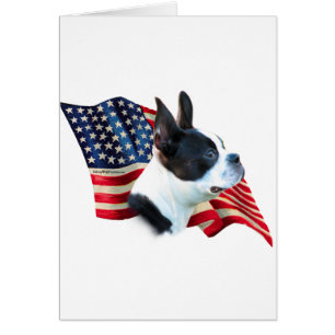 Boston Terrier Flag