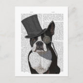 Boston Terrier, Formal Hound en Pet Briefkaart (Voorkant)
