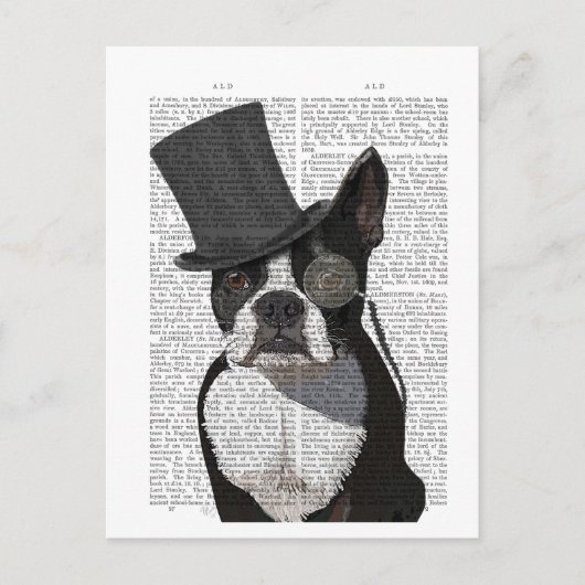 Boston Terrier, Formal Hound en Pet Briefkaart (Voorkant)