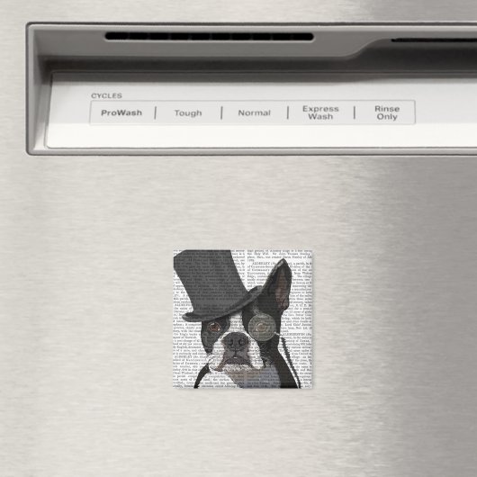 Boston Terrier, Formal Hound en Pet Magneet (Insitu (Vaatwasser))