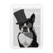 Boston Terrier, Formal Hound en Pet Magneet (Verticaal)