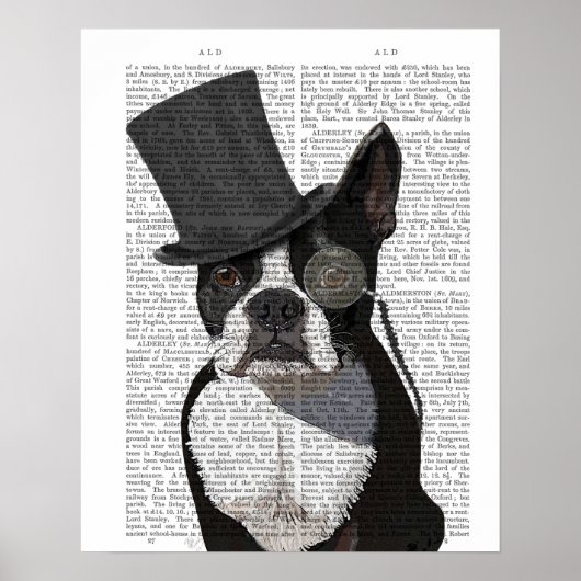 Boston Terrier, Formal Hound en Pet Poster (Voorkant)