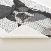 Boston Terrier, Formal Hound en Pet Sherpa Deken (3/4)