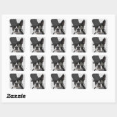 Boston Terrier, Formal Hound en Pet Vierkante Sticker (Vel)