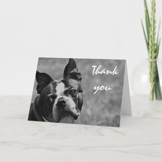 Boston Terrier foto Bedankkaart (Voorkant)
