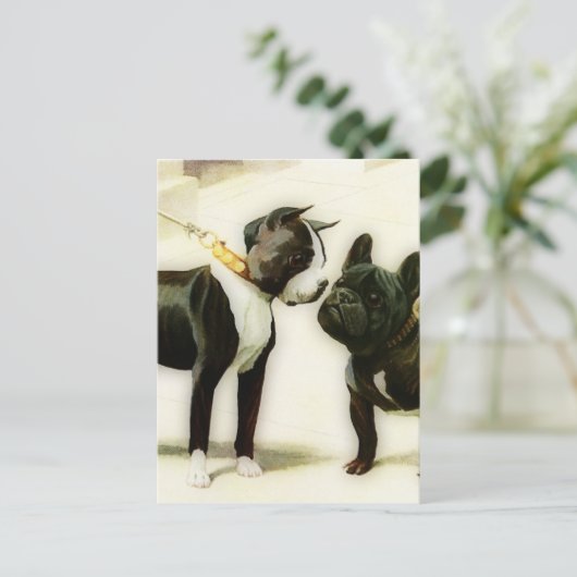 BOSTON TERRIER&FRENCH BULLDOG BRIEFKAART (Staand voorkant)