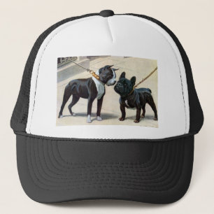 Boston Terrier & French Bulldog Trucker Pet