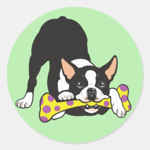Boston Terrier. Gelukkig geluk Ronde Sticker