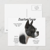 Boston Terrier Geschiedenis Ontwerp Briefkaart (Voorkant / Achterkant)