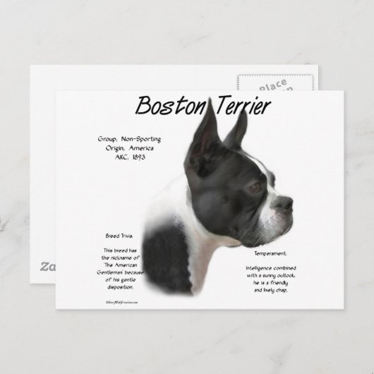 Boston Terrier Geschiedenis Ontwerp Briefkaart (Voorkant / Achterkant)