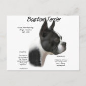 Boston Terrier Geschiedenis Ontwerp Briefkaart (Voorkant)