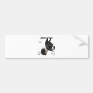 Boston Terrier Geschiedenis Ontwerp Bumpersticker
