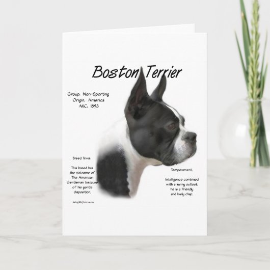 Boston Terrier Geschiedenis Ontwerp Feestdagen Kaart (Voorkant)