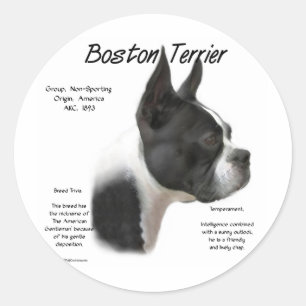 Boston Terrier Geschiedenis Ontwerp Ronde Sticker