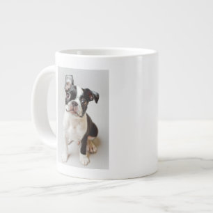 Boston Terrier Grote Koffiekop
