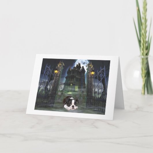 Boston Terrier Halloween Card Kaart (Voorkant)