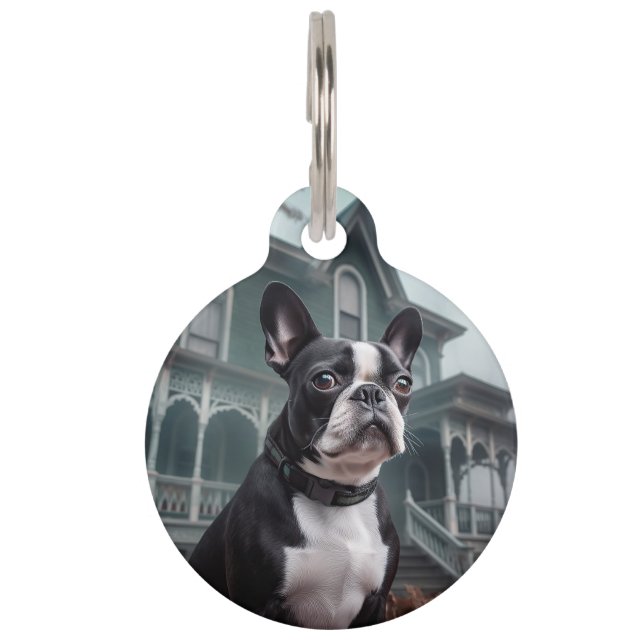 Boston Terrier Halloween eng Huisdierpenning (Voorkant)
