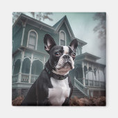 Boston Terrier Halloween eng Magneet (Voorkant)