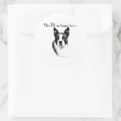 Boston Terrier Happy Face - Sticker (Tas)