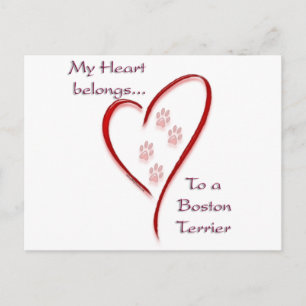 Boston Terrier Heart hoort erbij Briefkaart