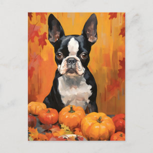 Boston Terrier Herfst Thanksgiving  Briefkaart
