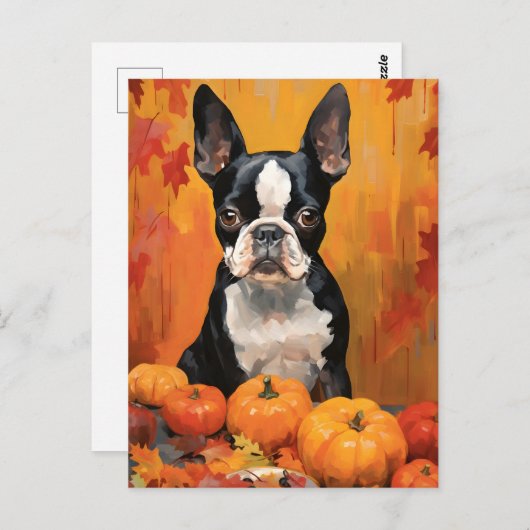 Boston Terrier Herfst Thanksgiving  Briefkaart (Voorkant / Achterkant)