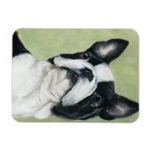 Boston Terrier Hond Art Magnet Magneet (Horizontaal)