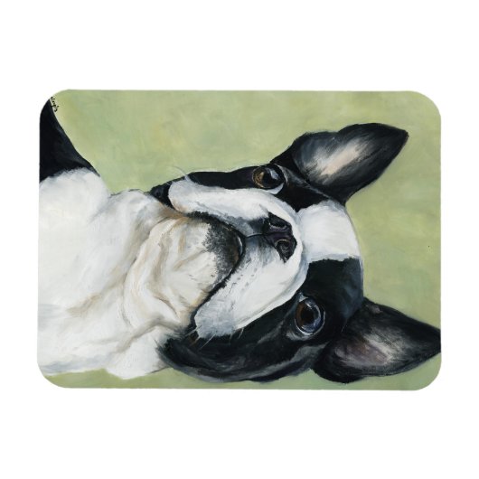 Boston Terrier Hond Art Magnet Magneet (Horizontaal)