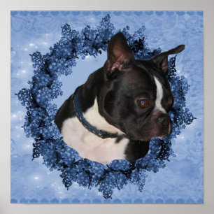 Boston Terriër Hond In Bloemen Krans Poster