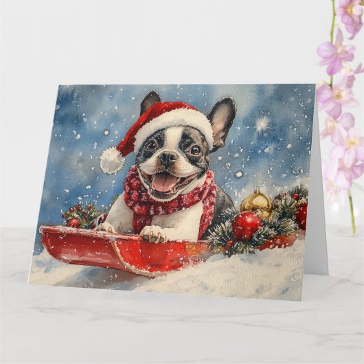 Boston Terrier Hond in Sledge Laat het Sneeuw Kers Kaart (Orchidee)