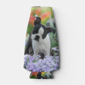 Boston Terrier Hond Leuke Puppy Foto, Fles-jas Flesjeskoeler (Voorkant)