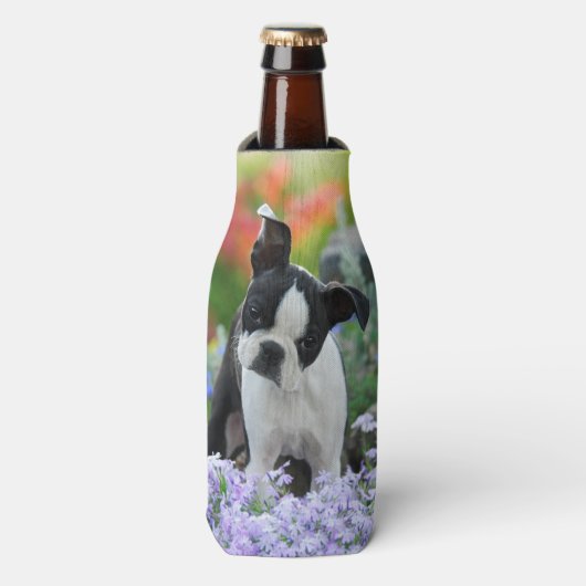 Boston Terrier Hond Leuke Puppy Foto, Fles-jas Flesjeskoeler (Fles Voorkant)