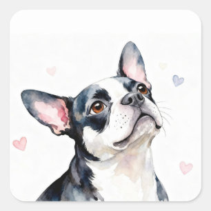 Boston Terrier-hond met harten Vierkante Sticker