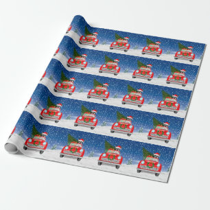Boston terrier hond rijdt auto in sneeuw met Kerst Cadeaupapier