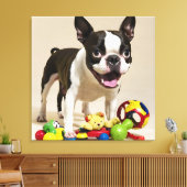 Boston Terrier-hond speelt met speelgoed Canvas Afdruk (Insitu (Woonkamer))