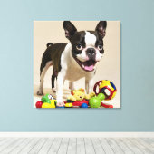 Boston Terrier-hond speelt met speelgoed Canvas Afdruk (Insitu (Houten vloer))