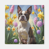 Boston Terrier Hond Spring Bloemen Schilderen Magneet (Voorkant)