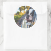 Boston Terrier Hond Steken Hoofd Uit Auto Raam Ronde Sticker (Tas)