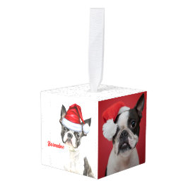Boston Terrier hond twee foto kerstvakantie Decoratie