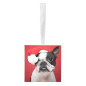 Boston Terrier hond twee foto kerstvakantie Decoratie (Rechts)