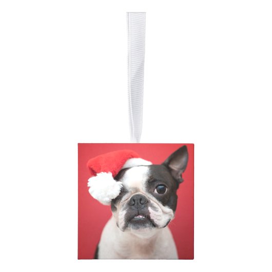 Boston Terrier hond twee foto kerstvakantie Decoratie (Rechts)