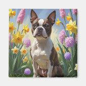 Boston Terrier Hond Voorjaarsbloemen Schilderij Magneet (Voorkant)