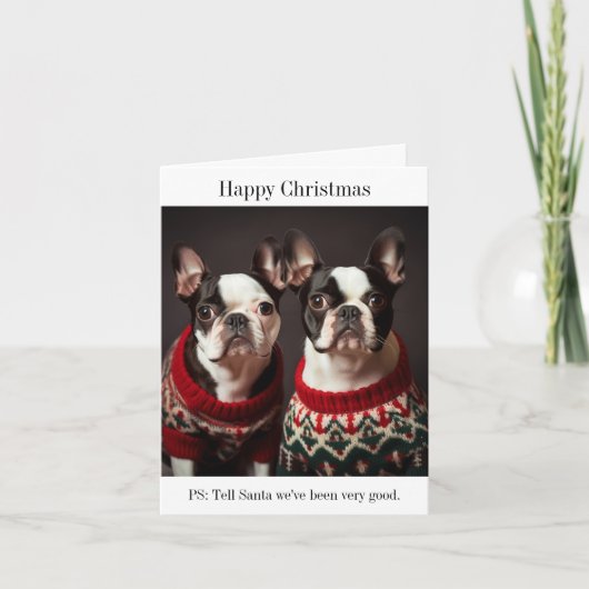 Boston Terrier Honden in Kersttruien Kaart (Voorkant)
