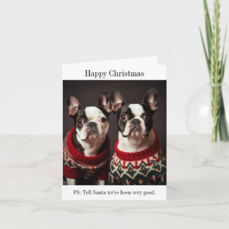 Boston Terrier Honden in Kersttruien Kaart